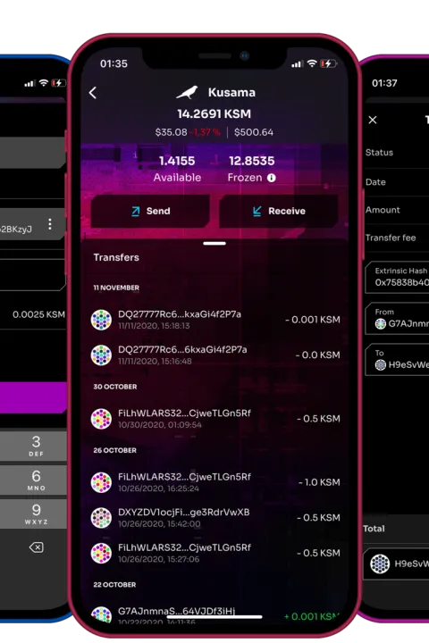 Fearless Wallet app on a phone